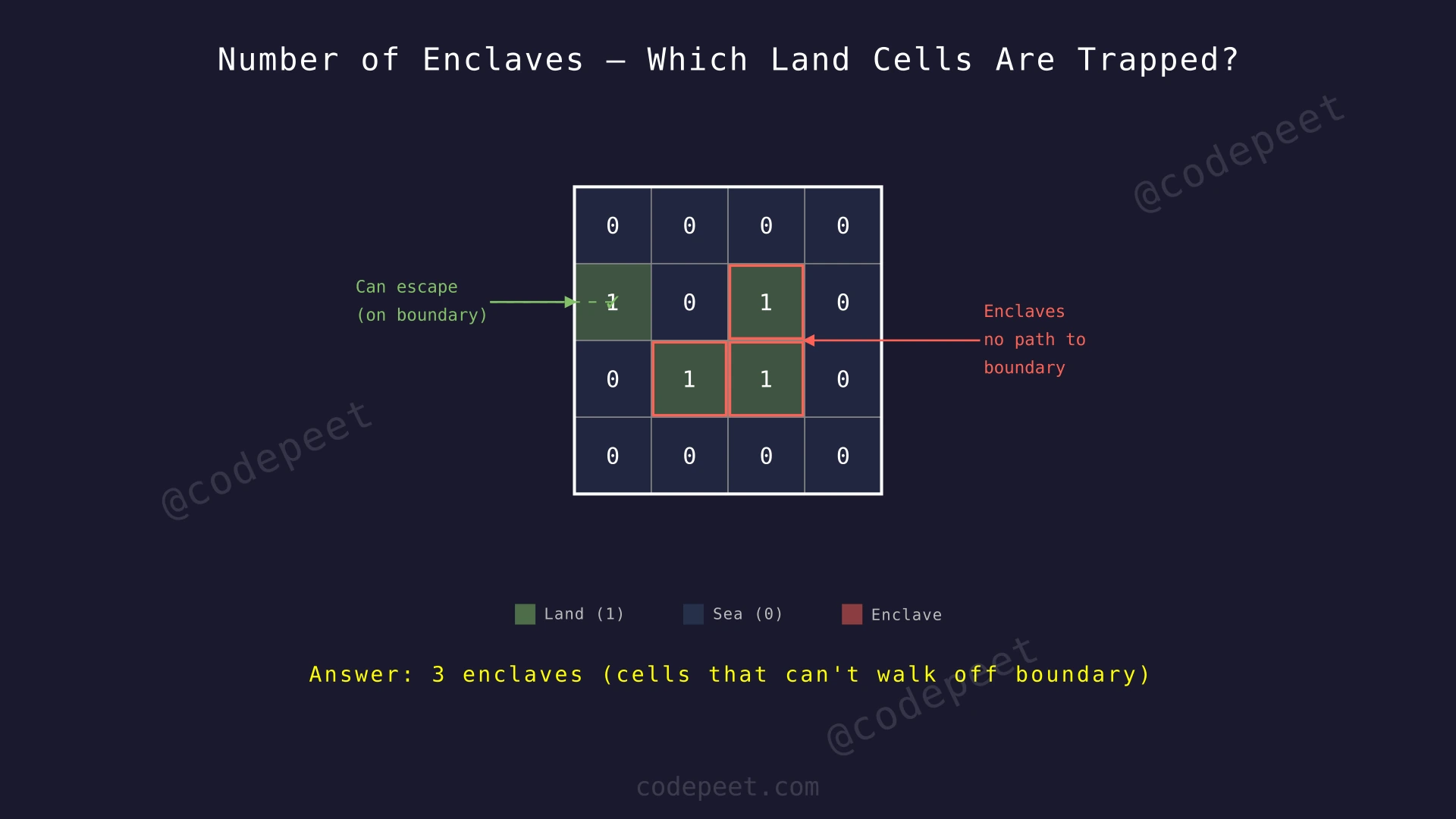 4x4 grid showing sea cells (0) in blue and land cells (1) in green. The boundary land cell at (1,0) is marked as 'can escape'. The interior land cells at (1,2), (2,1), (2,2) are circled in red as enclaves.
