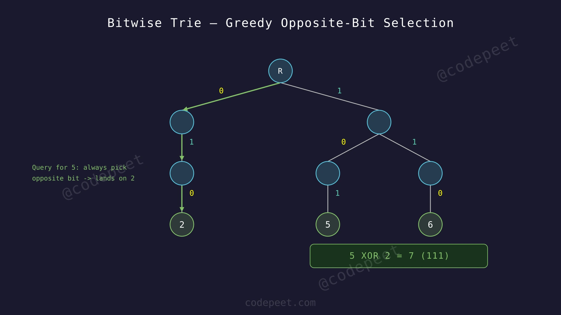 Bitwise trie storing numbers 5 (101), 2 (010), and 6 (110) as 3-bit binary paths, with a query arrow showing greedy opposite-bit selection