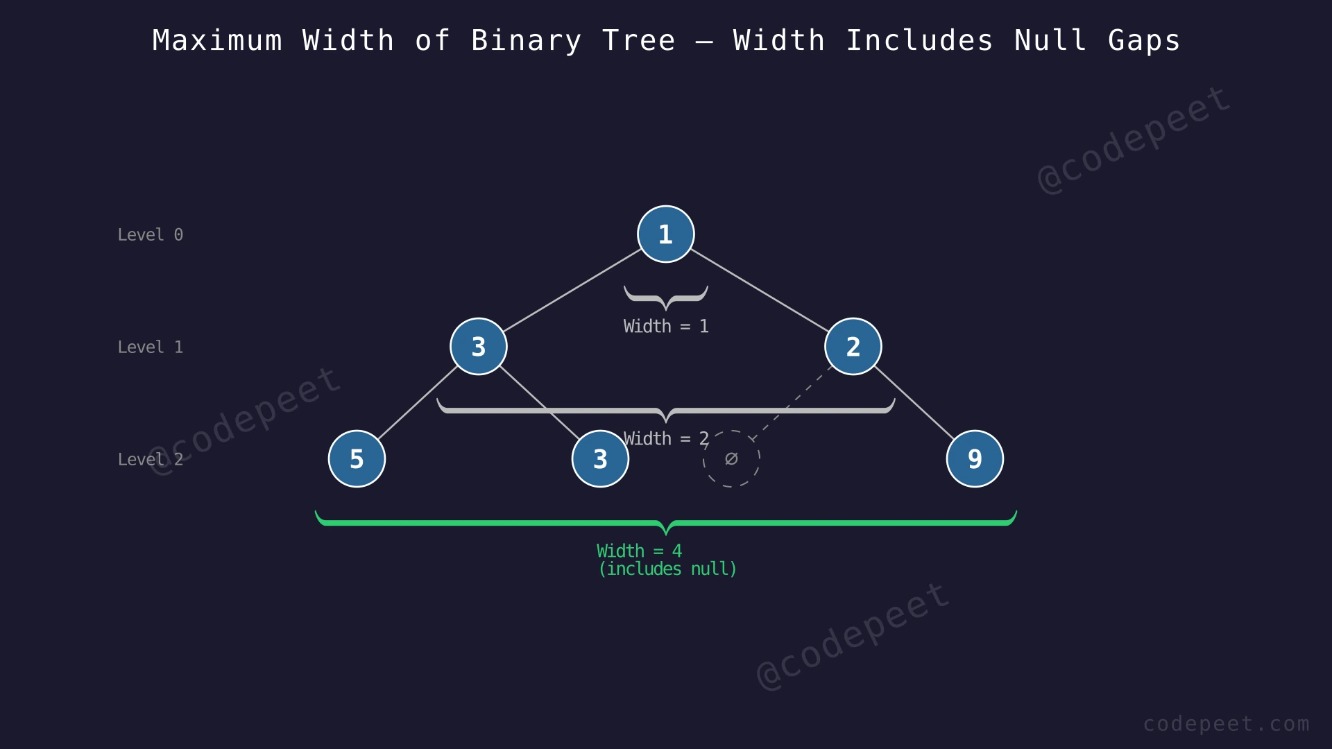 A binary tree with nodes at different levels, showing how width is measured including null gaps between leftmost and rightmost nodes