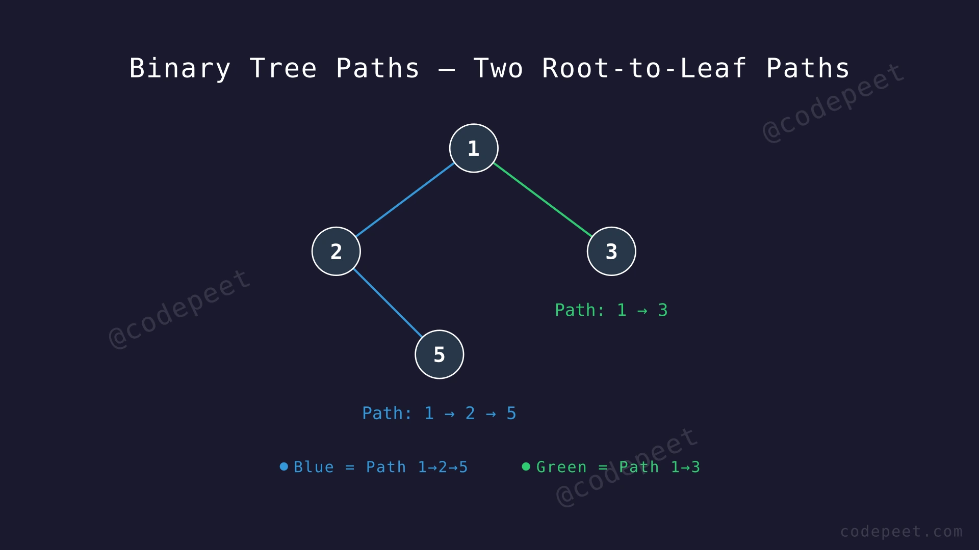 Binary tree with nodes 1, 2, 3, 5 showing two root-to-leaf paths: 1->2->5 highlighted in blue and 1->3 highlighted in green