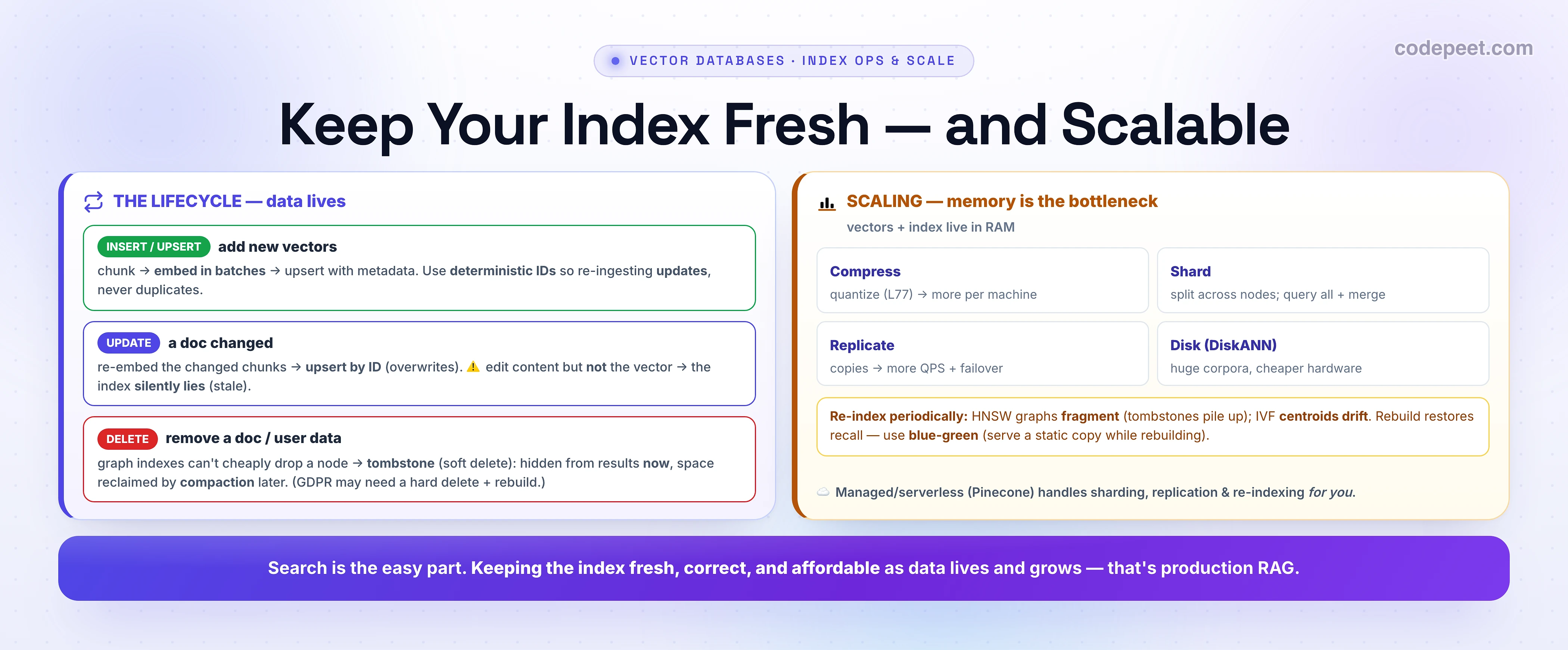 An infographic titled 'Keep Your Index Fresh — and Scalable' with two panels. The indigo THE LIFECYCLE (data lives) panel has three operations: INSERT/UPSERT (add new vectors) — chunk, embed in batches, upsert with metadata, and use deterministic IDs so re-ingesting updates rather than duplicates; UPDATE (a doc changed) — re-embed the changed chunks and upsert by ID to overwrite, with a warning that editing content but not the vector makes the index silently lie (stale); DELETE (remove a doc or user data) — graph indexes can't cheaply drop a node so they tombstone (soft delete), hiding it from results now and reclaiming space by compaction later, and GDPR may need a hard delete plus rebuild. The amber SCALING (memory is the bottleneck — vectors and index live in RAM) panel lists four levers: Compress (quantize for more per machine), Shard (split across nodes, query all and merge), Replicate (copies for more QPS and failover), and Disk/DiskANN (huge corpora on cheaper hardware); plus a note to re-index periodically because HNSW graphs fragment as tombstones pile up and IVF centroids drift, using blue-green to serve a static copy while rebuilding; and a note that managed or serverless databases like Pinecone handle sharding, replication, and re-indexing for you. A bottom banner: search is the easy part — keeping the index fresh, correct, and affordable as data lives and grows is production RAG.