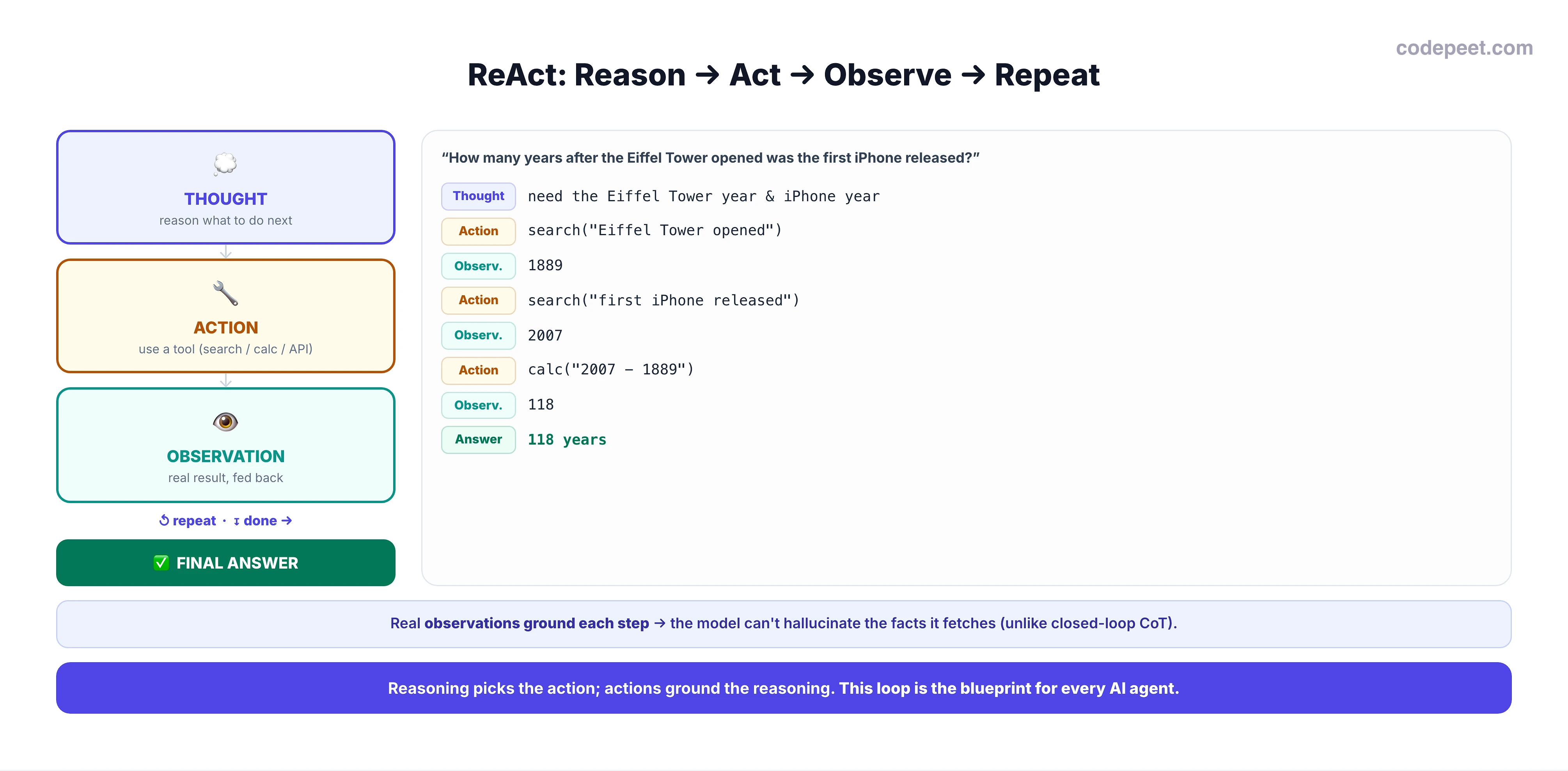 An infographic titled 'ReAct: Reason, Act, Observe, Repeat'. On the left is a cycle of three nodes connected by arrows: Thought (reason what to do next), Action (use a tool), and Observation (the real result fed back), with a repeat arrow looping back to Thought, and an exit arrow to a Final Answer. On the right is a worked trace for the question: how many years after the Eiffel Tower opened was the first iPhone released? Thought: I need the Eiffel Tower's opening year and the iPhone's release year. Action: search Eiffel Tower opened. Observation: 1889. Thought: now the iPhone year. Action: search first iPhone released. Observation: 2007. Thought: 2007 minus 1889. Action: calculate 2007 minus 1889. Observation: 118. Final answer: 118 years. A callout explains that real observations ground each step, so the model can't hallucinate the facts it fetches, unlike closed-loop chain-of-thought. A bottom banner says reasoning picks the action and actions ground the reasoning, and this loop is the blueprint for every AI agent.
