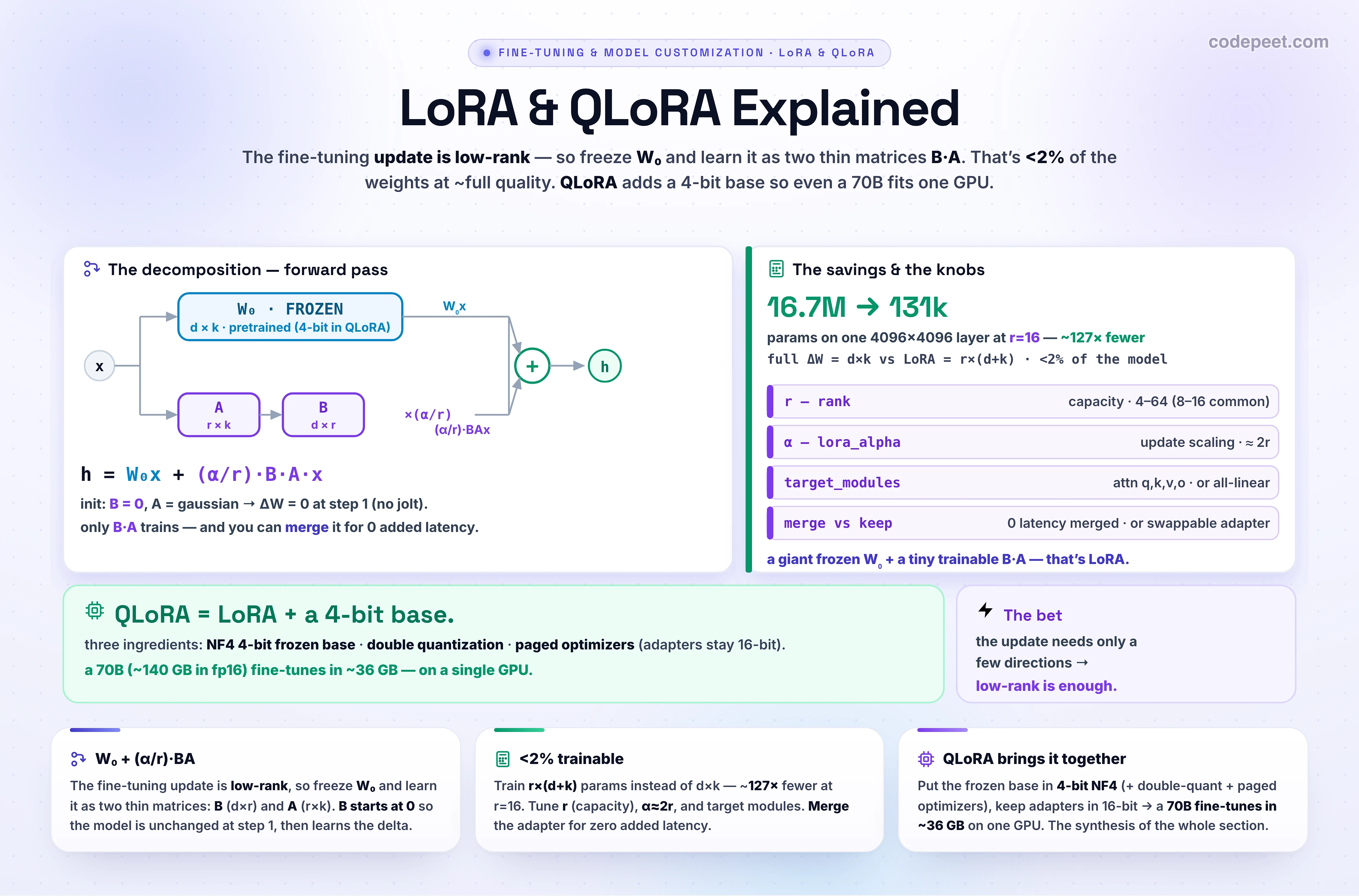 An infographic titled 'LoRA & QLoRA Explained', the fifth lesson of section two on fine-tuning mechanics and the dominant parameter-efficient method. LoRA, Low-Rank Adaptation, rests on the insight that the weight update during fine-tuning has low intrinsic rank: adapting to a narrow task does not require changing the model in every direction. So instead of learning a full update delta-W to a weight matrix W-zero of shape d-by-k, LoRA freezes W-zero and learns the update as a product of two thin matrices, B of shape d-by-r and A of shape r-by-k, where the rank r is much smaller than d or k. The adapted weight is W-zero plus alpha over r times B-A, and the forward pass is h equals W-zero-x plus alpha-over-r times B-A-x, where alpha is a scaling factor. A is initialized random Gaussian and B is initialized to all zeros, so the update is zero at step one and the model is unchanged until it learns. The parameter count drops from d-times-k to r-times-d-plus-k; for rank sixteen on a 4096-by-4096 matrix that is about a hundred-and-thirty-thousand trainable parameters instead of sixteen-point-seven million, roughly a hundred-and-twenty-seven times fewer, and overall under two percent of the model trains. Typical rank is four to sixty-four, alpha is set around twice the rank for a stable update magnitude, and LoRA is applied to the linear modules, often the attention query, key, value, and output projections or all linear layers. At inference the B-A product can be merged into W-zero for zero added latency, or kept as a tiny swappable adapter. QLoRA stacks quantization on top: it hosts the frozen base in 4-bit NormalFloat, applies double quantization to the quantization constants, and uses paged optimizers that spill optimizer state to CPU RAM, while keeping the LoRA adapters in 16-bit and de-quantizing to bf16 to compute, so a 70-billion model that needs about 140 gigabytes in fp16 fine-tunes in about 36 gigabytes on a single GPU. The takeaway is that LoRA replaces a giant weight update with two thin low-rank matrices, and QLoRA adds a 4-bit base so even the largest models fit.