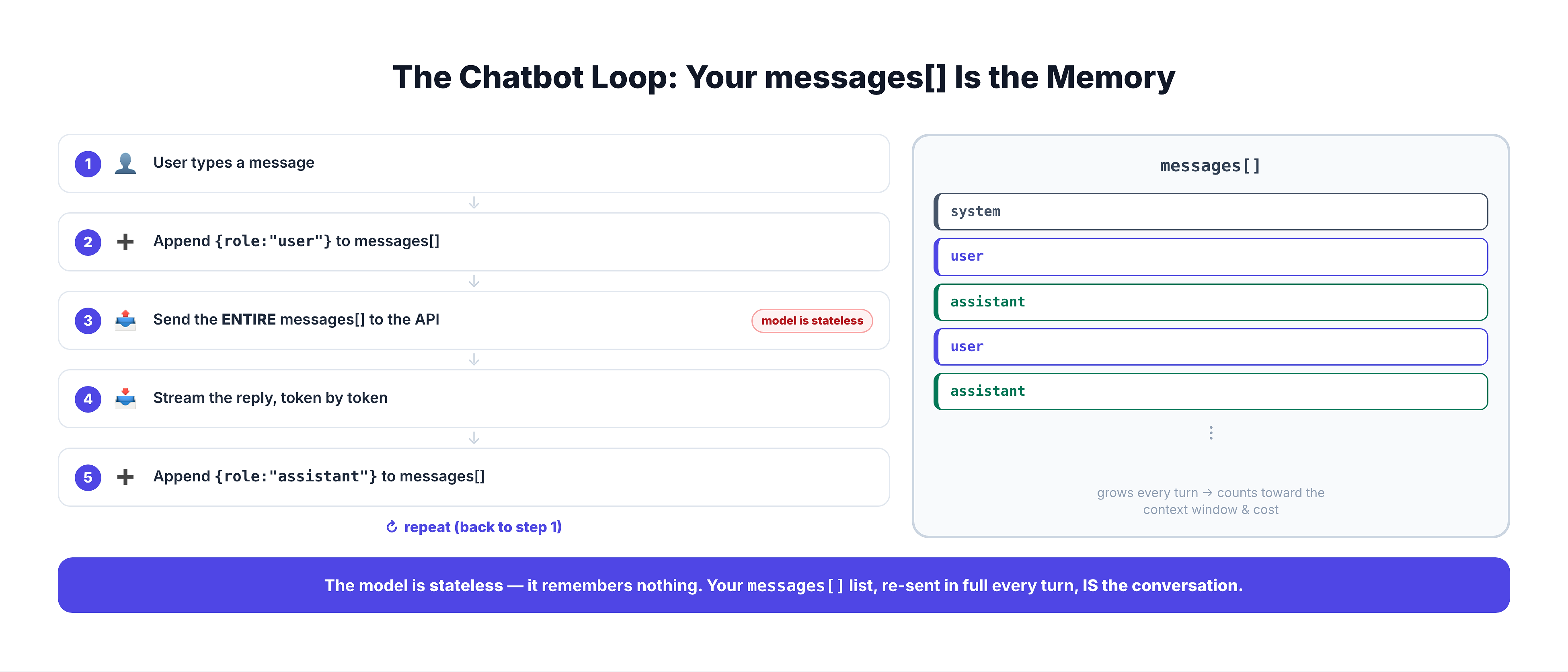 An infographic titled 'The Chatbot Loop: Your messages[] Is the Memory'. On the left, a five-step cycle with a repeat arrow: step 1, the user types a message; step 2, append a user-role entry to the messages list; step 3, send the ENTIRE messages list to the API (because the model is stateless); step 4, stream the reply token by token; step 5, append an assistant-role entry to the messages list; then loop back to step 1. On the right, a panel shows the messages[] array growing over turns: system, then user, assistant, user, assistant, with a note that it grows every turn and counts toward the context window and cost. A bottom banner states the model is stateless and remembers nothing, so the messages list, re-sent in full each turn, is the conversation.