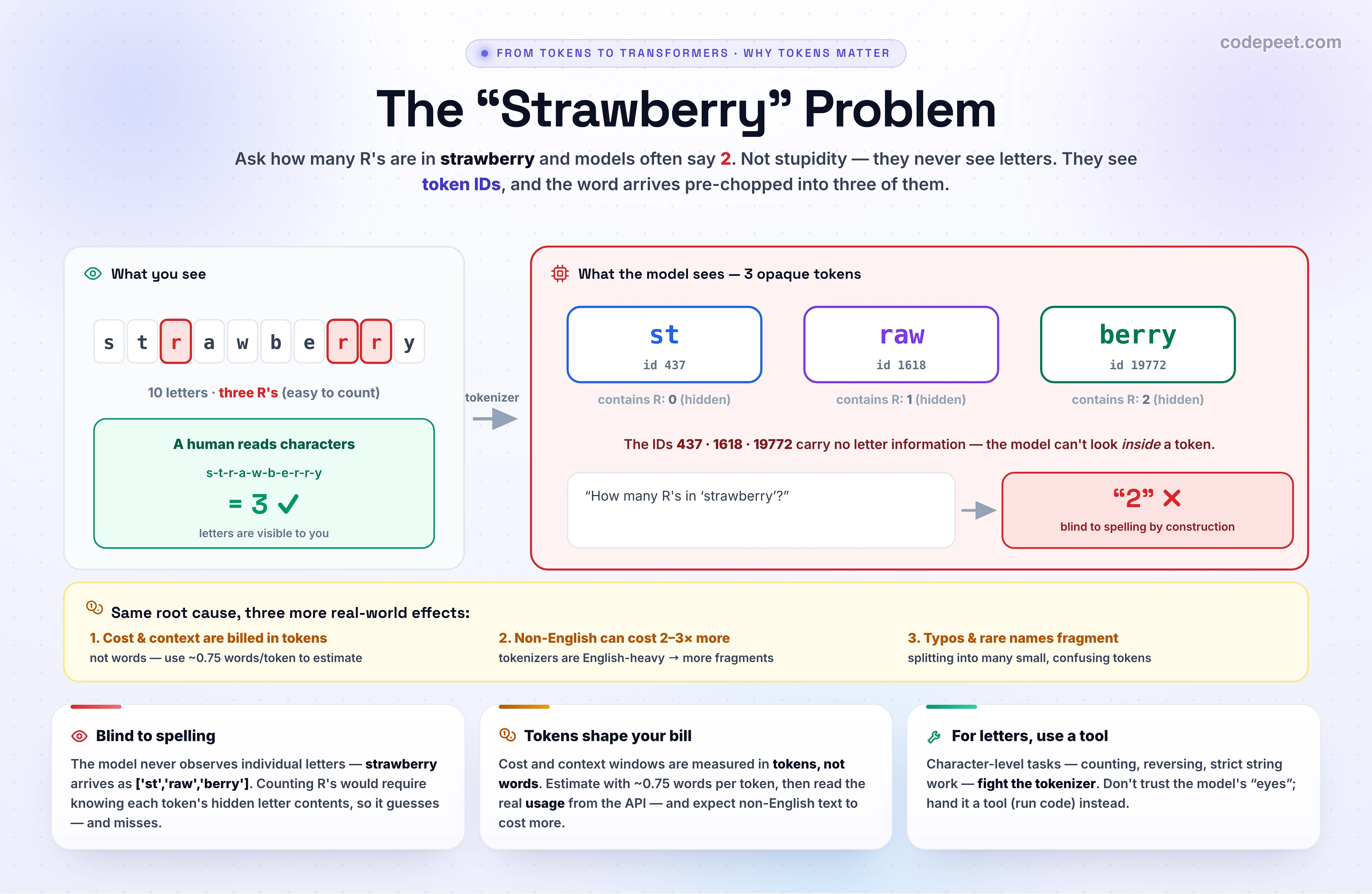 An explanation of why a model miscounts the R's in 'strawberry'. The word 'strawberry' is shown splitting into three colored token chips: 'st', 'raw', and 'berry'. Under each chip is its count of the letter R: st has 0, raw has 1, berry has 2, summing to 3. A caption explains the model sees tokens, not letters, so it never directly observes the individual R's and commonly answers 2.