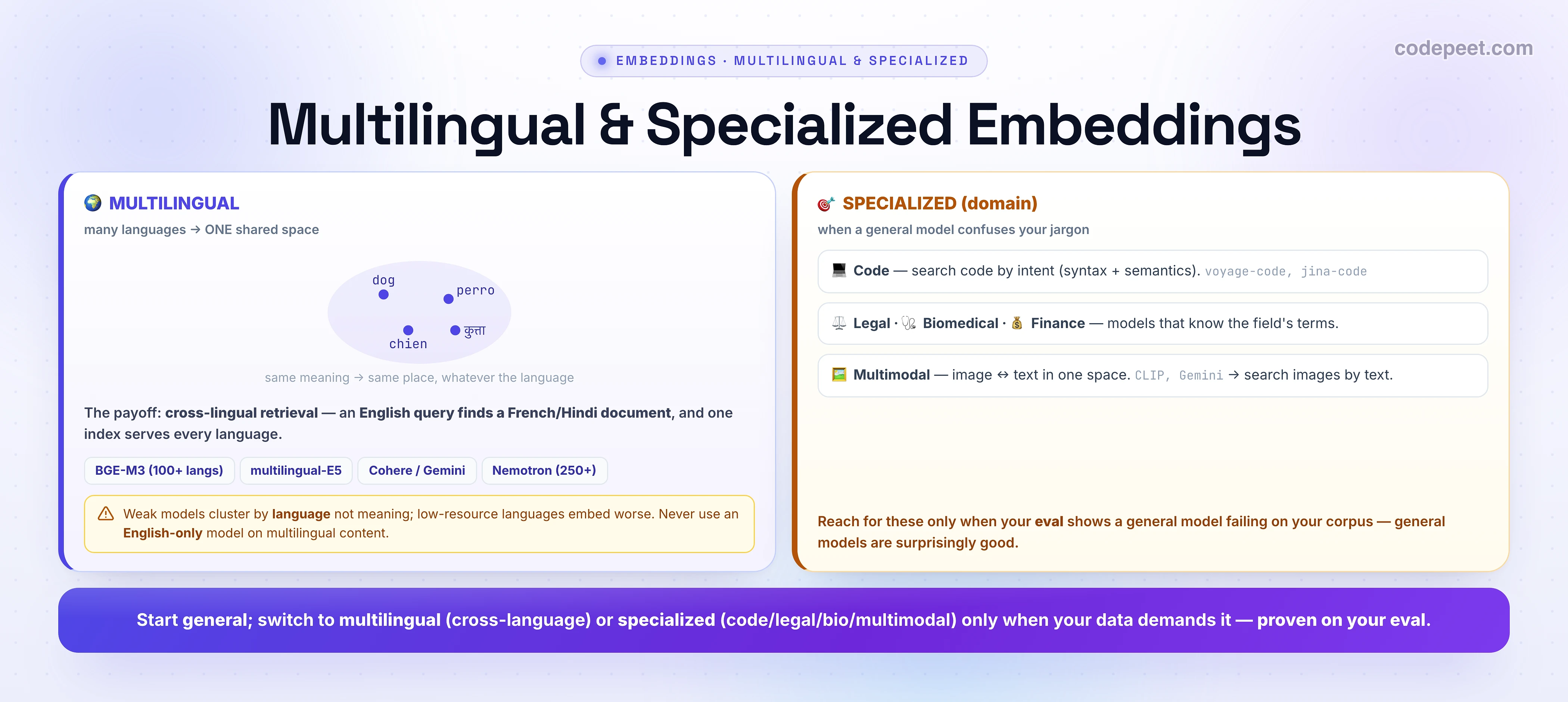 An infographic titled 'Multilingual & Specialized Embeddings' with two panels. The indigo MULTILINGUAL panel (many languages into one shared space) shows the words dog, perro, chien, and कुत्ता clustered together in a shared space, captioned 'same meaning, same place, whatever the language'; the payoff is cross-lingual retrieval where an English query finds a French or Hindi document and one index serves every language; model chips list BGE-M3 (100+ languages), multilingual-E5, Cohere/Gemini, and Nemotron (250+); a warning notes that weak models cluster by language not meaning, low-resource languages embed worse, and you should never use an English-only model on multilingual content. The amber SPECIALIZED (domain) panel (when a general model confuses your jargon) lists Code (search code by intent — voyage-code, jina-code), Legal/Biomedical/Finance (models that know the field's terms), and Multimodal (image to text in one space — CLIP, Gemini — to search images by text), noting you should reach for these only when your eval shows a general model failing, because general models are surprisingly good. A bottom banner: start general; switch to multilingual or specialized only when your data demands it, proven on your eval.