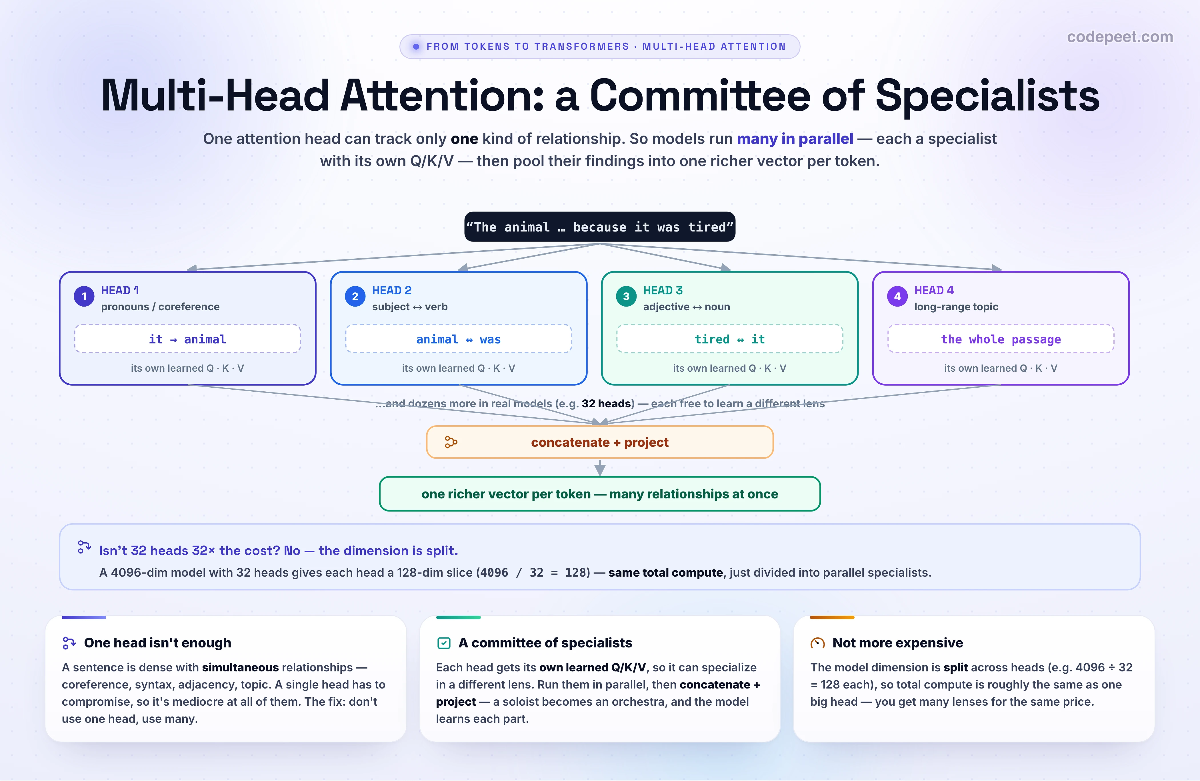 A diagram of multi-head attention. One input sentence is fed into several parallel attention heads, each specializing in a different relationship: Head 1 (pronouns) attends 'it' to 'animal'; Head 2 (subject-verb) links a verb to its subject; Head 3 (adjective-noun) links a modifier to its noun; Head 4 (long-range topic) spreads attention broadly. The heads' outputs are then concatenated and projected into a single combined representation, with a note that real models use dozens of heads.