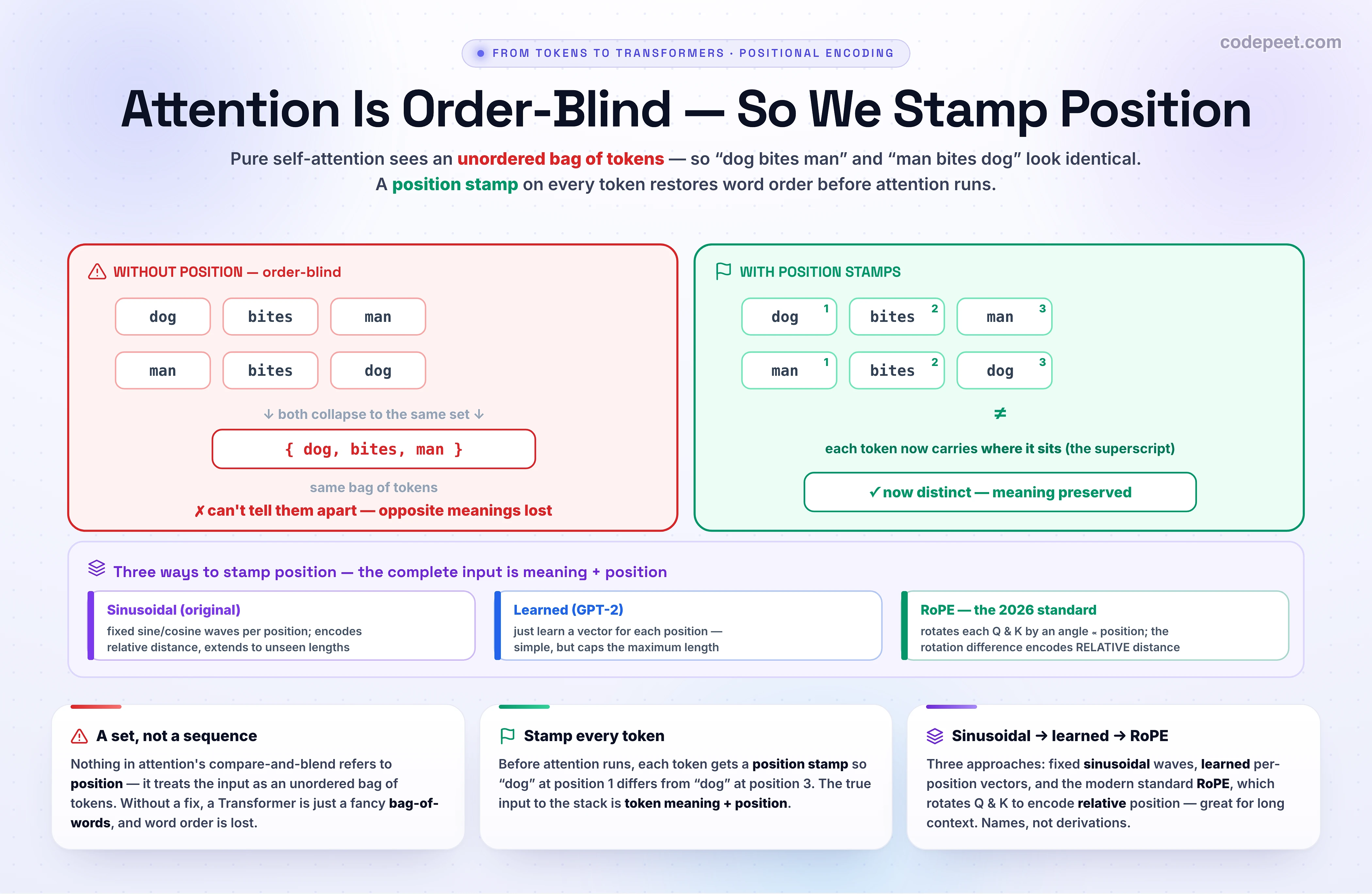 An illustration of why positional encoding is needed. On the left, the sentences 'dog bites man' and 'man bites dog' both reduce to the same unordered set {dog, bites, man}, so pure self-attention cannot tell them apart (marked with a red X). On the right, each token gets a position stamp (pos 1, 2, 3) added to its embedding, so the two sentences become distinguishable (green check), preserving their opposite meanings. A note says modern LLMs use RoPE.