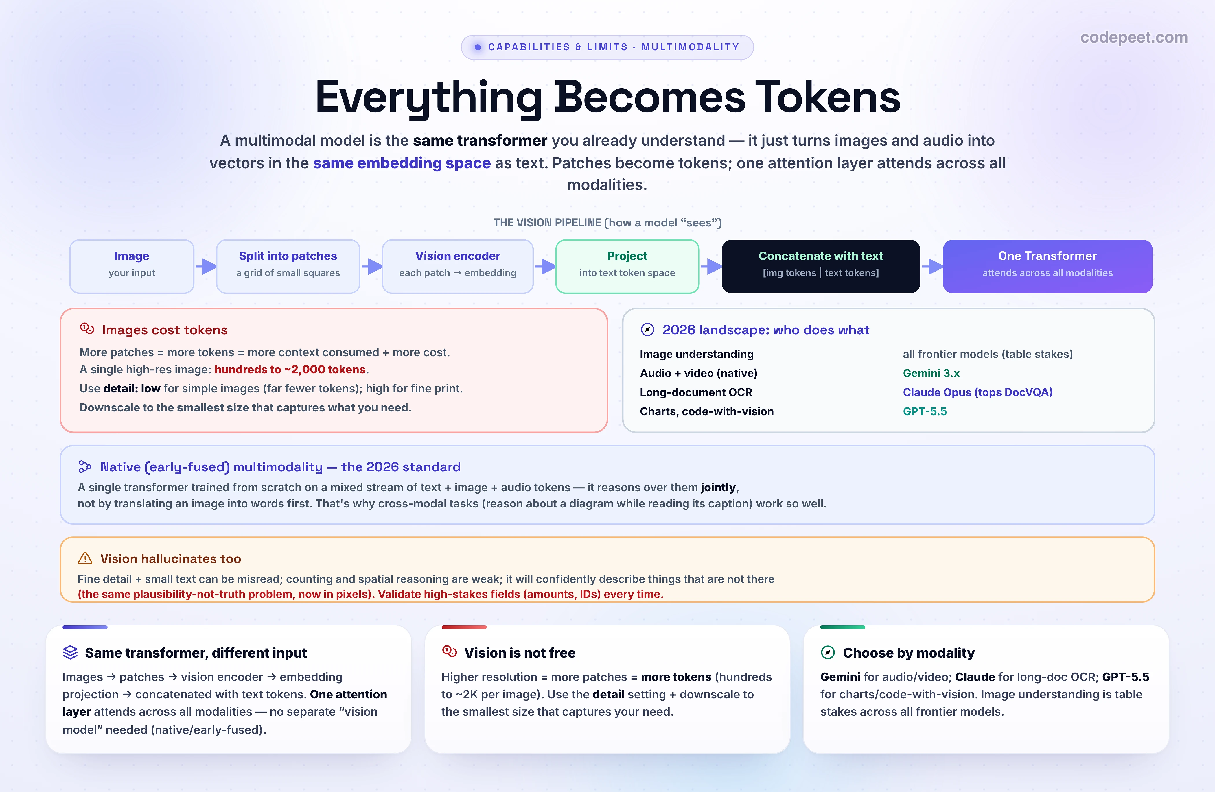 An infographic titled 'How a Model Sees: Everything Becomes Tokens'. The top row shows a pipeline: an image is split into a grid of patches, each patch is passed through a vision encoder, producing image tokens. The middle shows a unified token stream containing text-token chips (the words 'What is in this photo?') followed by image-token chips, all flowing into a single transformer, which outputs the text answer 'A cat on a sofa.' A callout explains that image patches are projected into the same embedding space as text tokens, so attention works across modalities (native early fusion). A bottom banner states that text, images, audio, and video all become one shared token stream, and that images cost tokens, so higher resolution means more tokens and more cost.