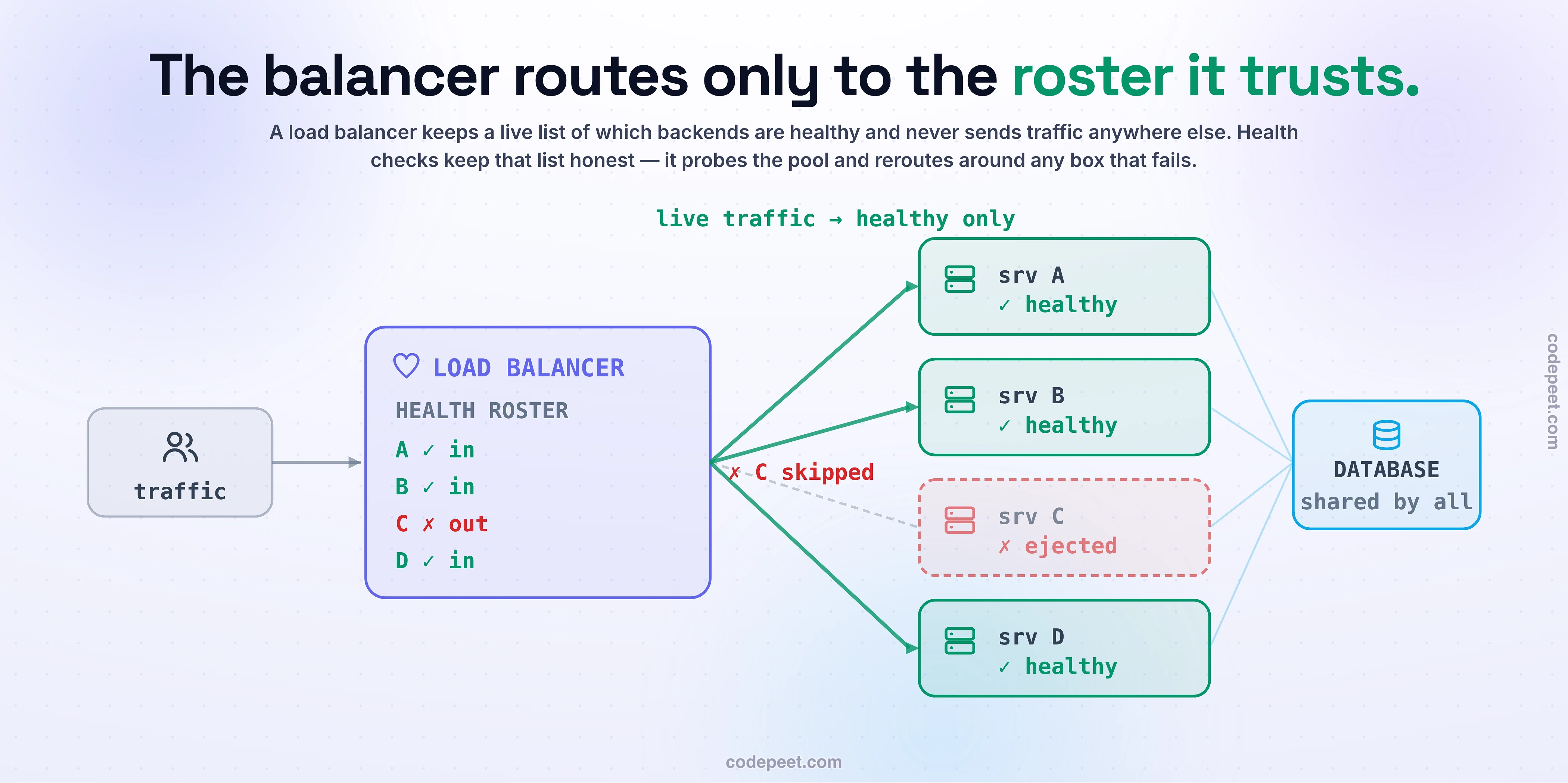 A diagram of a load balancer keeping a live roster of which backend servers are healthy. In the centre the load balancer sends out small health-check probes to a pool of servers on the right. Three servers answer the probe with a green tick and are marked healthy and in rotation; one server answers with a red cross, and after failing the check it is greyed out and tagged out of rotation. Real user traffic, drawn as arrows, flows from the load balancer only to the three healthy green servers and visibly bends around the ejected one, so users never touch the dead box. Along the bottom a short strip contrasts two kinds of health check: a shallow check that asks only can this process serve a request, which the server answers with a green tick, versus a deep check that asks is the shared database up, which turns every server in the pool red at once the moment the database blips — showing how a check that is too smart can eject the entire fleet on a single dependency wobble. The takeaway written across the diagram is that the load balancer routes only to the roster it trusts, so the check must stay shallow, because one blip on a shared dependency can otherwise eject everyone and turn a minor wobble into a total outage.
