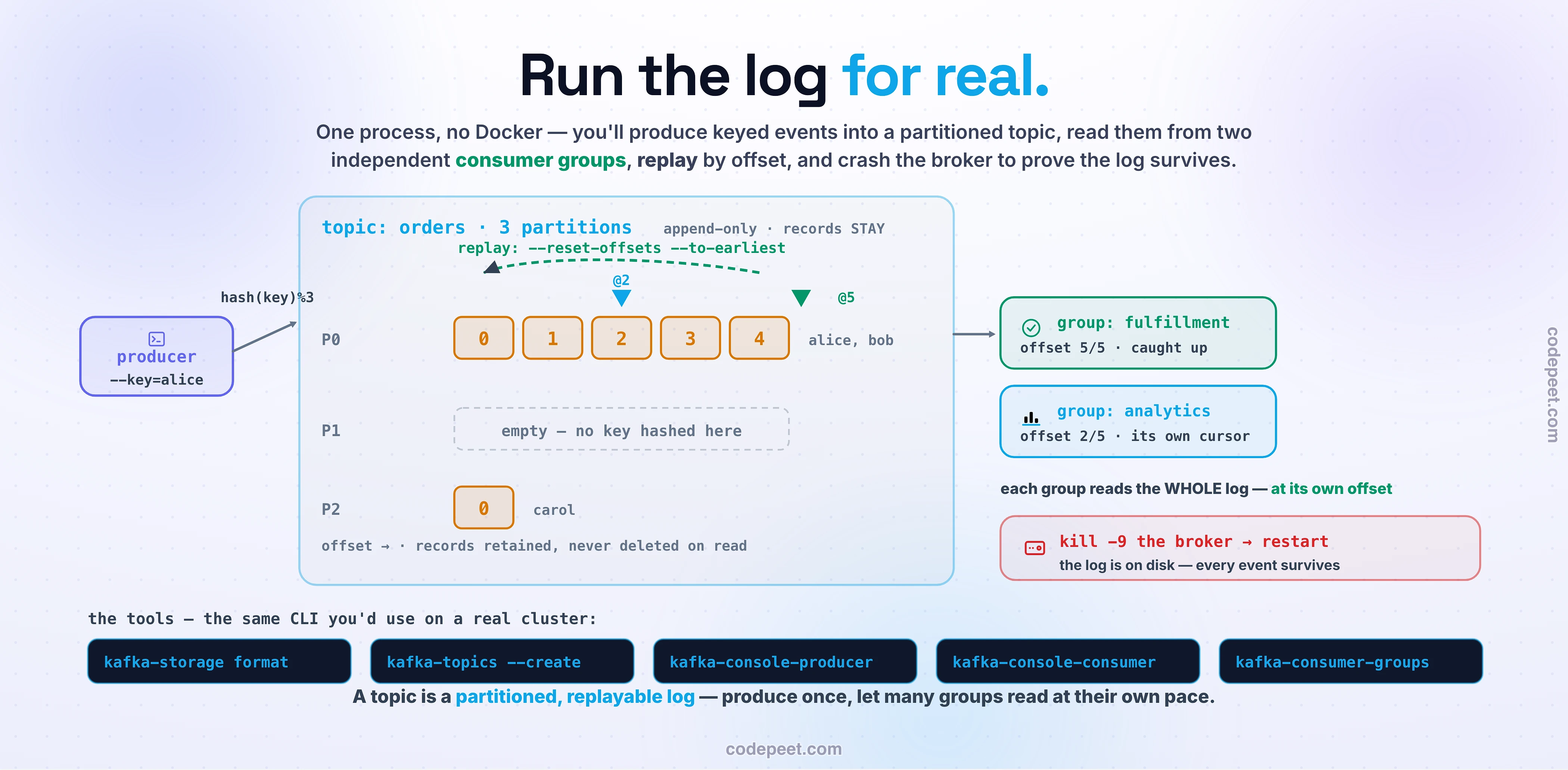 A 'what you'll build' diagram for a Kafka codelab, showing a single-node Kafka broker running on a laptop with one topic named orders split into three partitions. On the left, a producer sends keyed order events into the topic; a small note reads key hashes to a partition, so all of alice's orders land in partition 0 and stay in order. Each of the three partitions is drawn as an append-only log of numbered cells at offsets zero, one, two, and so on, with new records appended at the end and nothing deleted on read. On the right, two consumer groups read the same topic independently: group fulfillment and group analytics, each with its own offset cursor pointing at a different position along the partitions, labelled each group reads the whole stream at its own offset. A curved rewind arrow loops one group's cursor back to offset zero, labelled replay: reset the offset and re-read. Below the broker, a small disk icon with a lightning bolt and the words survives a crash shows that the log is persisted, so killing and restarting the broker keeps every event. Around the diagram, four terminal command chips name the tools the codelab uses: kafka-storage format, kafka-topics create, kafka-console-producer, and kafka-console-consumer, plus kafka-consumer-groups for offsets and replay. The takeaway line reads: a topic is a partitioned, replayable log — produce once, let many groups read at their own pace. The palette is dark slate with a violet producer, sky-blue partitions, and emerald consumer groups.