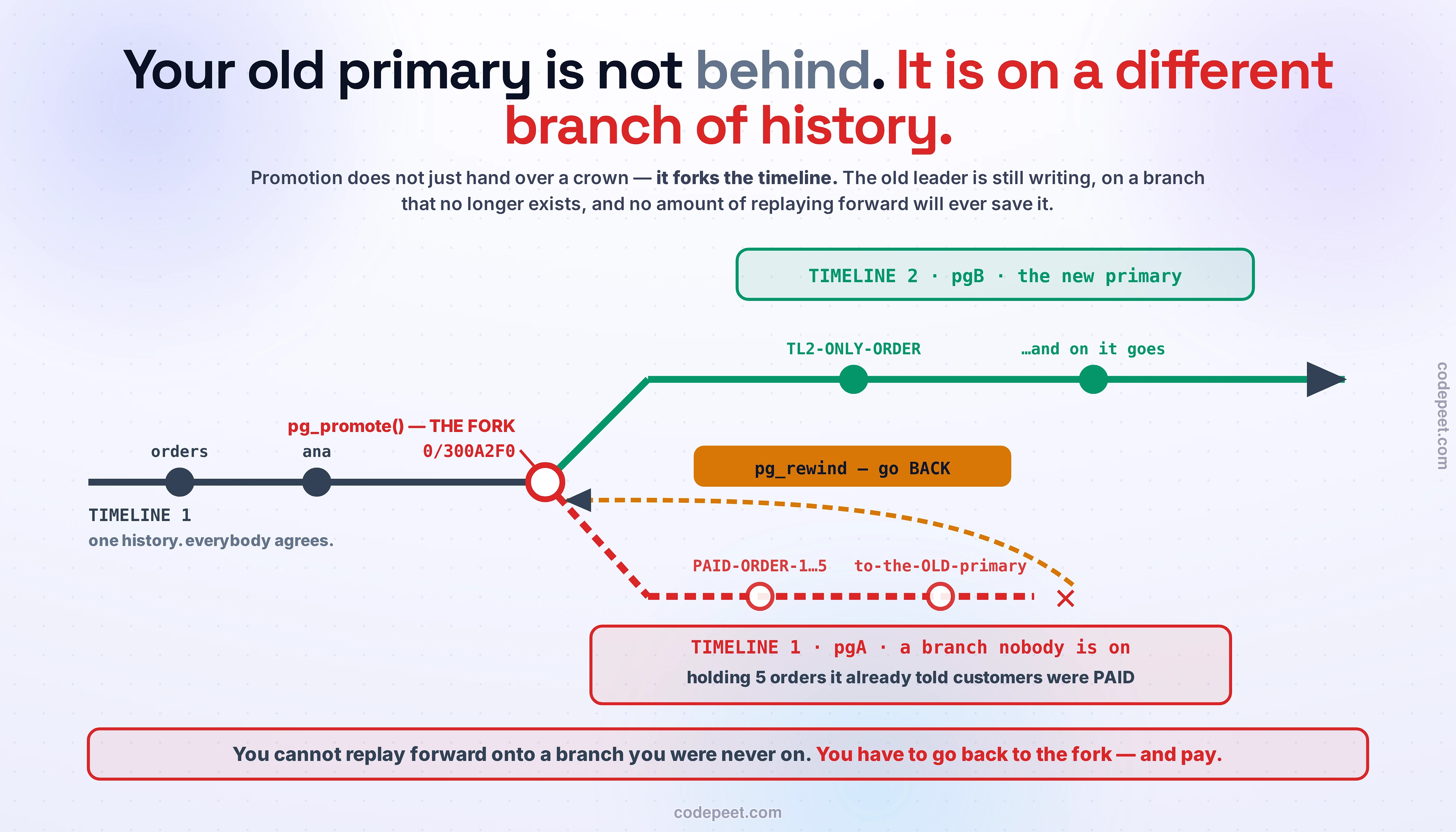 A single line of database history that forks in two. On the left, a solid dark line labelled TIMELINE 1 carries the ordinary commits everyone agrees on. At a red circle marked with the real log position 0/300A2F0, captioned "pg_promote() — THE FORK", the history splits. The upper branch, drawn in solid green and labelled TIMELINE 2, pgB, the new primary, carries on into the future: this is the history that survives. The lower branch, drawn in dashed red and labelled TIMELINE 1, pgA, a branch nobody is on, carries the commits the old primary kept accepting after the fork — including five orders it had already told customers were PAID — and then simply ends in a red cross. Nothing continues from it. An amber dashed arrow curves backwards from the dead branch to the fork point, labelled pg_rewind, showing that the only way to rescue the old machine is to travel BACK to the point where the histories split, not forward. A banner across the foot reads: you cannot replay forward onto a branch you were never on — you have to go back to the fork, and pay.