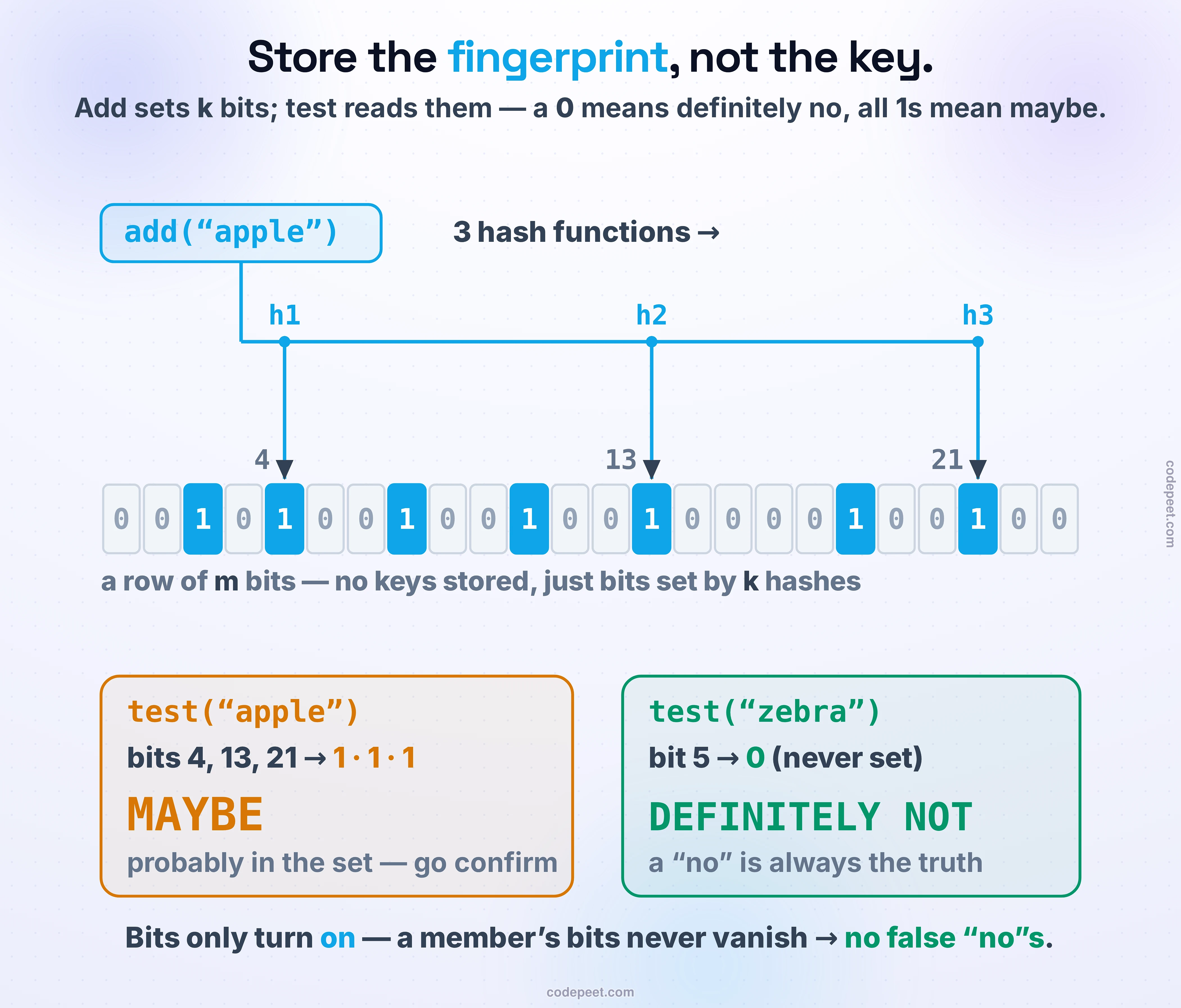 A Bloom filter shown as a single row of bits, explaining how it tests membership without storing any keys. In the middle, an ADD: the word "apple" is fed through three hash functions, which pick three positions in the bit array, and those three bits are flipped from 0 to 1. Below, two TESTs against the same array. Testing "apple" hashes to the same three positions, all three are 1, so the verdict is MAYBE — probably in the set. Testing "zebra" hashes to three positions, but one of them is still 0, so the verdict is DEFINITELY NOT — if zebra had ever been added, that bit would be 1. The picture makes the one-sided rule plain: a bit is only ever turned on, never off, so a real member's bits can never disappear. That is why the filter is never wrong in the dangerous direction: a "no" is always the truth, and only a "maybe" can be a false alarm. The whole set is tested using a handful of bits per element and not one stored key.