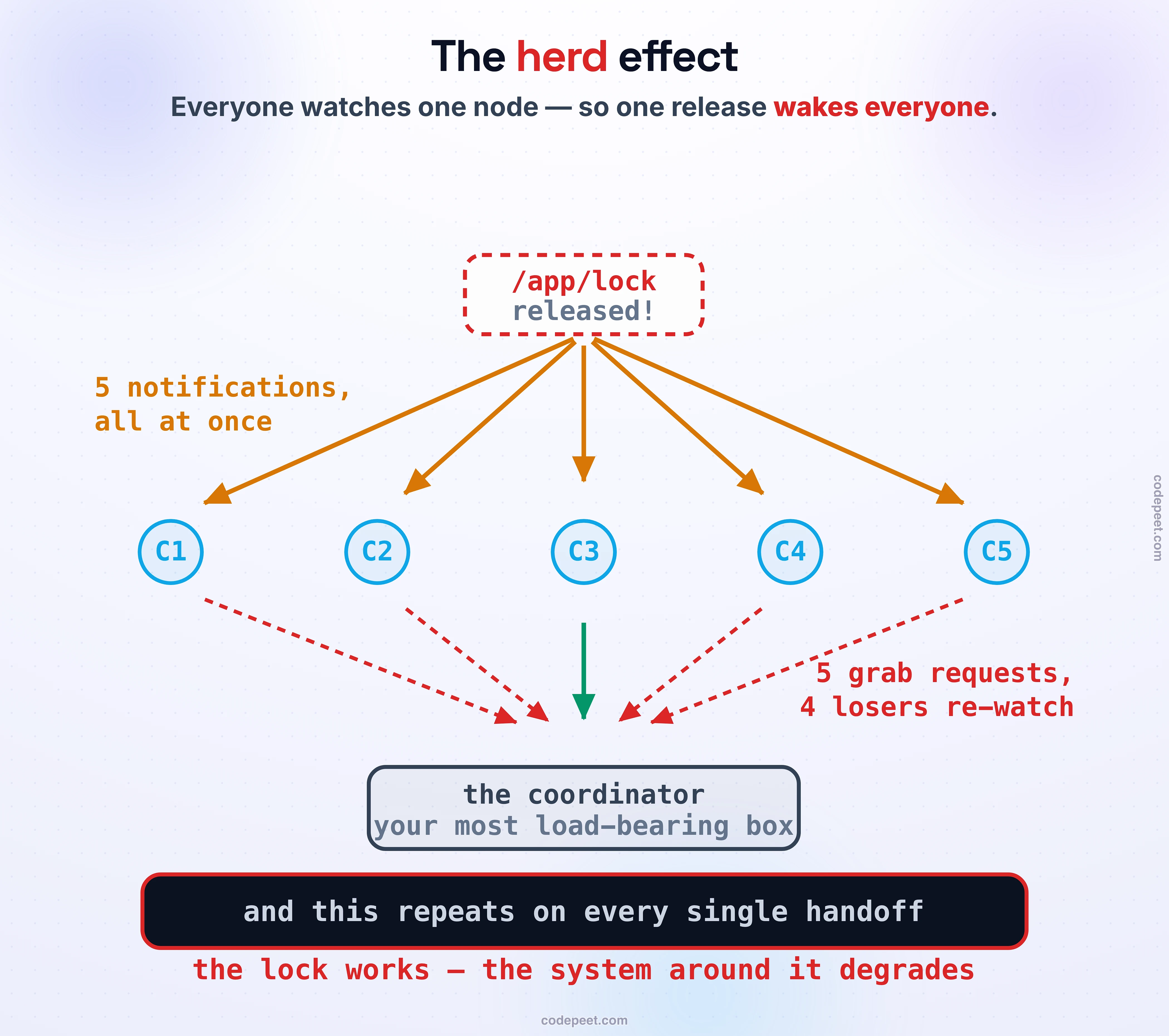 A released lock node, /app/lock in dashed red, sits at the center of five clients. Five amber notification arrows burst outward all at once — 5 notifications, all at once — and five dashed red grab requests stampede back down onto the coordinator, your most load-bearing box: 5 grab requests, 4 losers re-watch. Dark band: and this repeats on every single handoff. Foot: the lock works — the system around it degrades.
