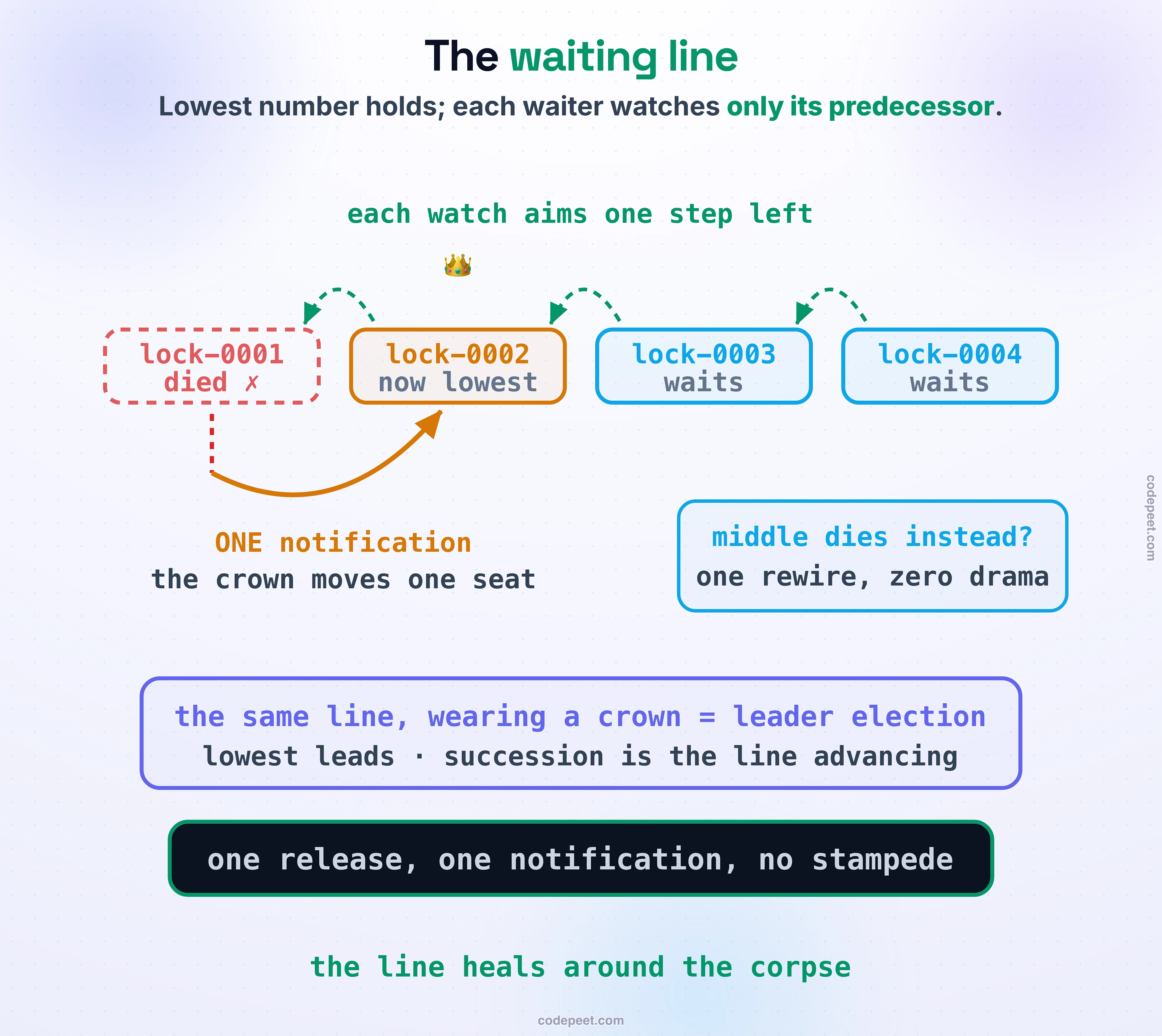 Four znodes in a line: lock-0001 (dashed red, died) with the crown gone, lock-0002 amber and now lowest, lock-0003 and lock-0004 waiting. Green dashed watches each aim one step left. From the dead node exactly ONE amber notification curves up to land on lock-0002: the crown moves one seat. A side chip asks middle dies instead? — one rewire, zero drama. Violet band: the same line, wearing a crown = leader election; lowest leads, succession is the line advancing. Dark band: one release, one notification, no stampede. Foot: the line heals around the corpse.