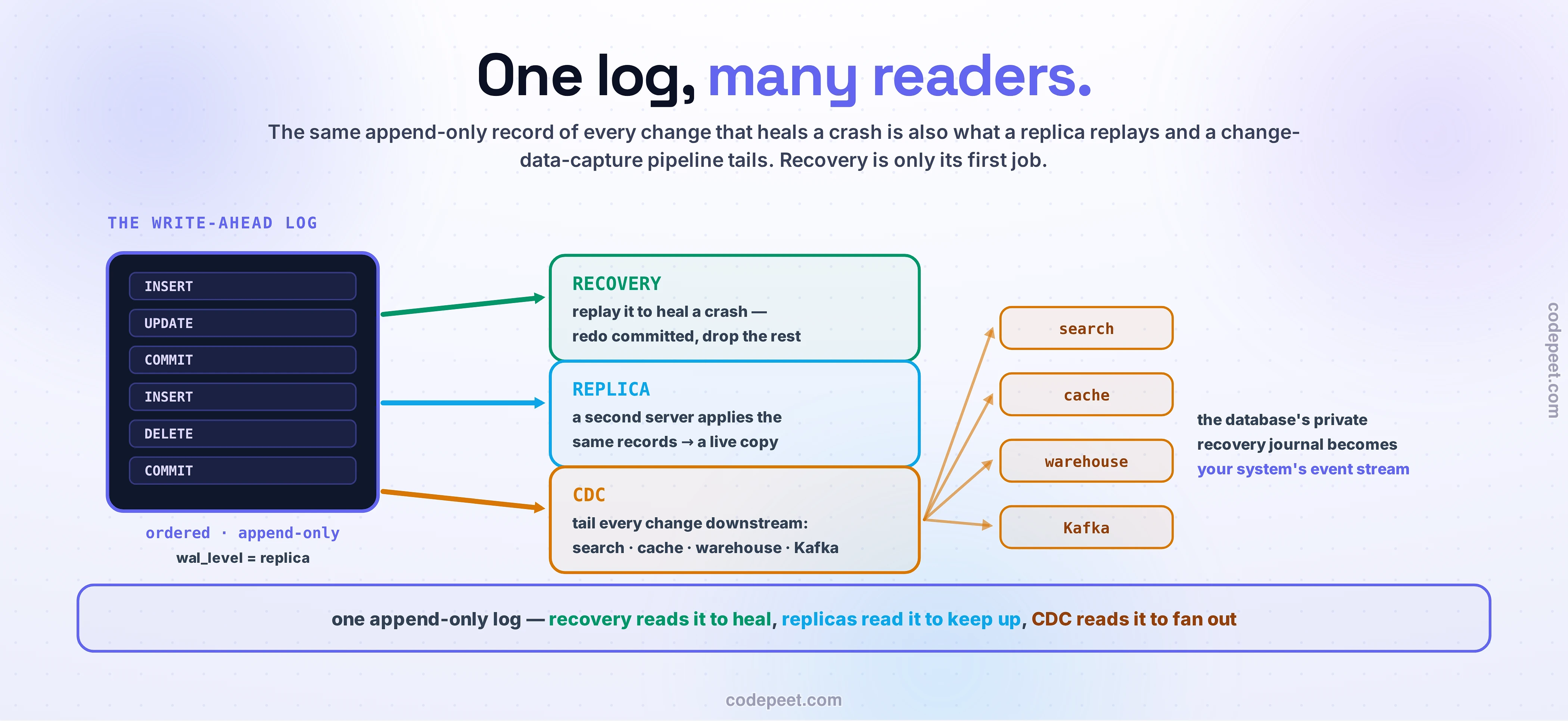 The write-ahead log drawn as one source feeding three consumers. On the left, a tall dark WAL box holds an ordered, append-only stack of records — INSERT, UPDATE, COMMIT, INSERT, DELETE, COMMIT — labeled ordered, append-only, wal_level = replica. Three arrows fan out to three reader panels: RECOVERY (replay it to heal a crash — redo committed, drop the rest), REPLICA (a second server applies the same records into a live copy), and CDC (tail every change downstream). From the CDC panel, four more arrows fan to chips: search, cache, warehouse, Kafka — the database's private recovery journal becomes your system's event stream. The verdict band: one append-only log — recovery reads it to heal, replicas read it to keep up, CDC reads it to fan out.
