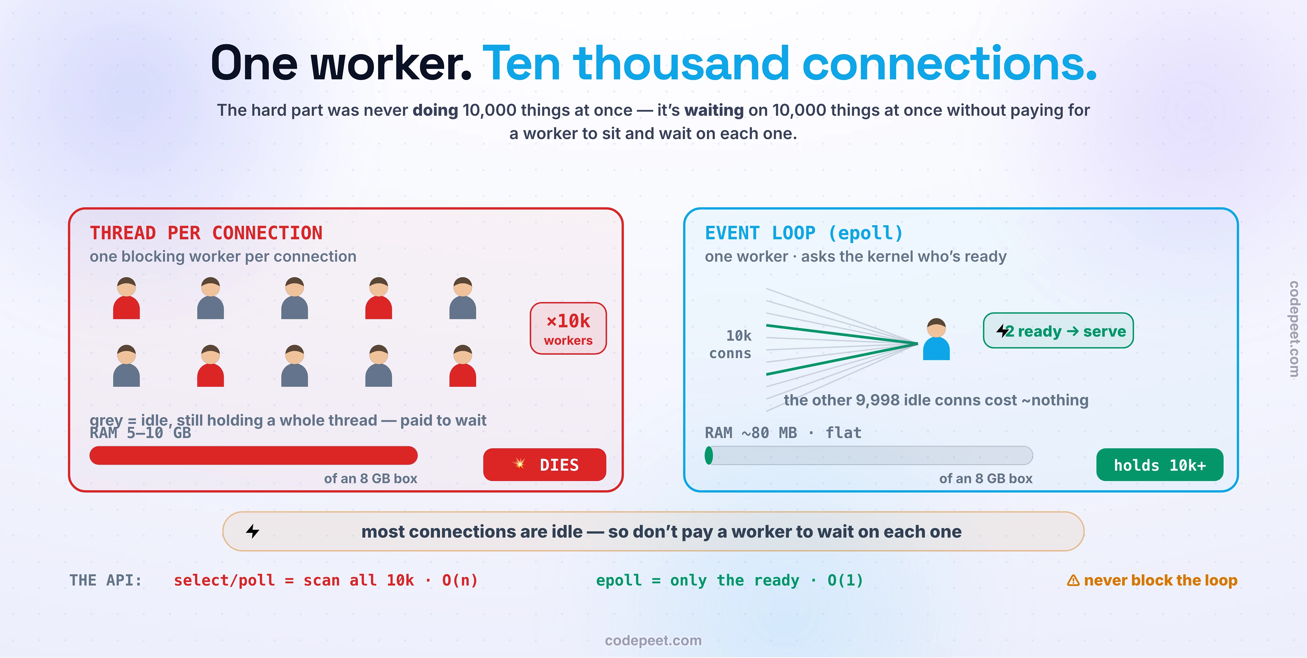 Illustrated comparison of two servers each holding ten thousand open connections. On the left, the thread-per-connection model is a call center that hires one agent per caller: ten thousand callers means ten thousand agents, almost all sitting idle on hold, and the building overflows — a memory meter reads roughly five to ten gigabytes and a scheduler meter shows the processors spending their time switching between sleeping agents instead of working, so the model turns red and collapses at a few thousand connections. On the right, the event-loop model is a single tireless super-agent who never waits on hold: it asks the kernel which of the thousands of lines actually have someone talking right now and handles only those, so idle callers cost almost nothing; its memory meter stays flat in the tens of megabytes as connections climb into the tens of thousands. A central insight banner reads that most connections are idle, so the winning move is to wait on ten thousand things at once without dedicating a worker to each wait. A readiness detail shows the old select and poll APIs scanning all ten thousand descriptors every call at order n, versus epoll returning only the ready ones at order one. A caution flag on the event loop notes its single thread must never run heavy CPU work or every connection stalls, and a footnote names the modern hybrid — goroutines and Java virtual threads — that give thread-simple code with event-loop scale, the way WhatsApp held two million connections on one server.