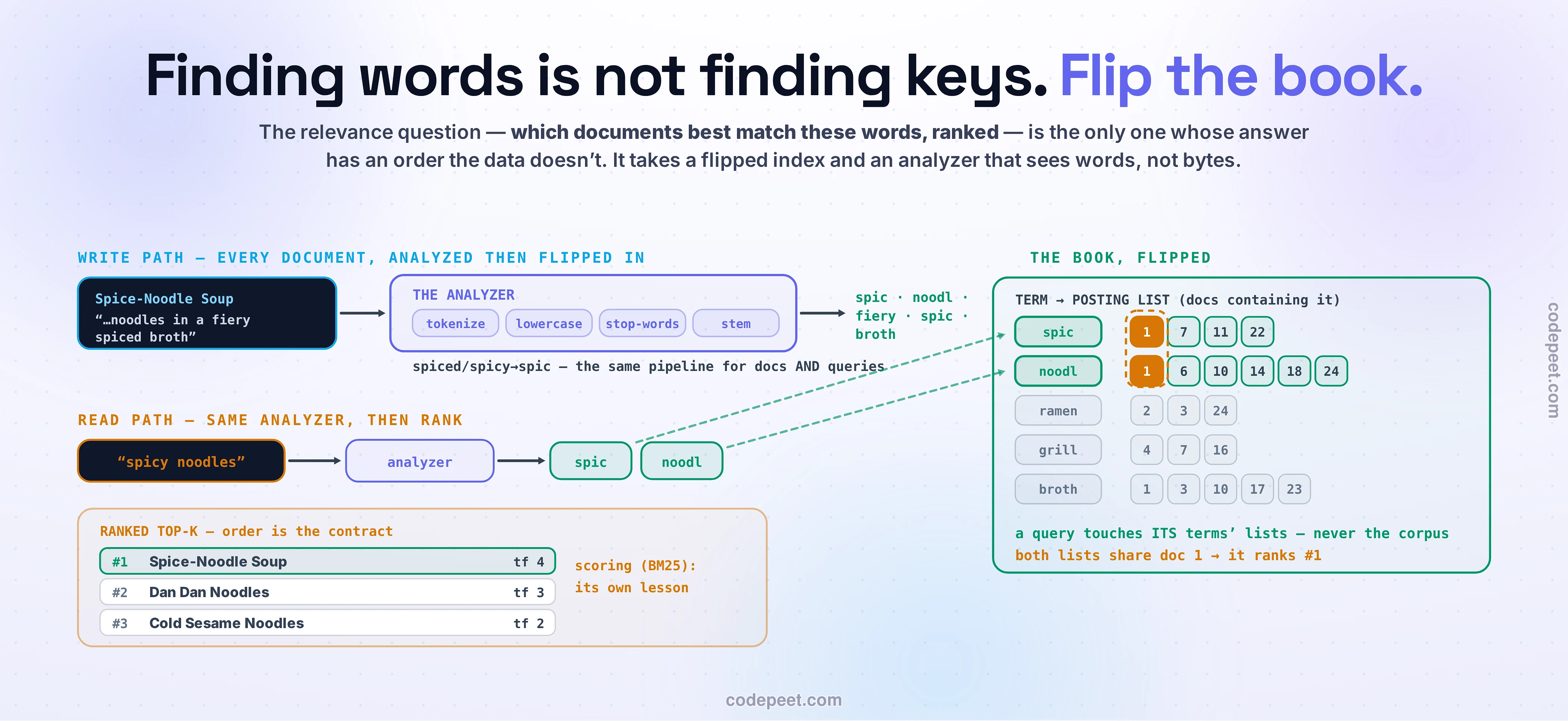 The full-text search flow drawn as two lanes over a flipped index. Write lane: the dish document Spice-Noodle Soup enters THE ANALYZER — tokenize, lowercase, stop-words, stem — and leaves as stemmed terms flowing into THE BOOK, FLIPPED: an inverted index drawn as term rows with posting chips, the doc-1 chips amber-highlighted in both queried rows inside a dashed intersection box. Read lane: the query spicy noodles passes the SAME analyzer, its two stems light exactly two posting rows via dashed arrows, and the RANKED TOP-K panel returns Spice-Noodle Soup first — both lists share doc 1, it ranks #1; order is the contract; a query touches ITS terms' lists, never the corpus.