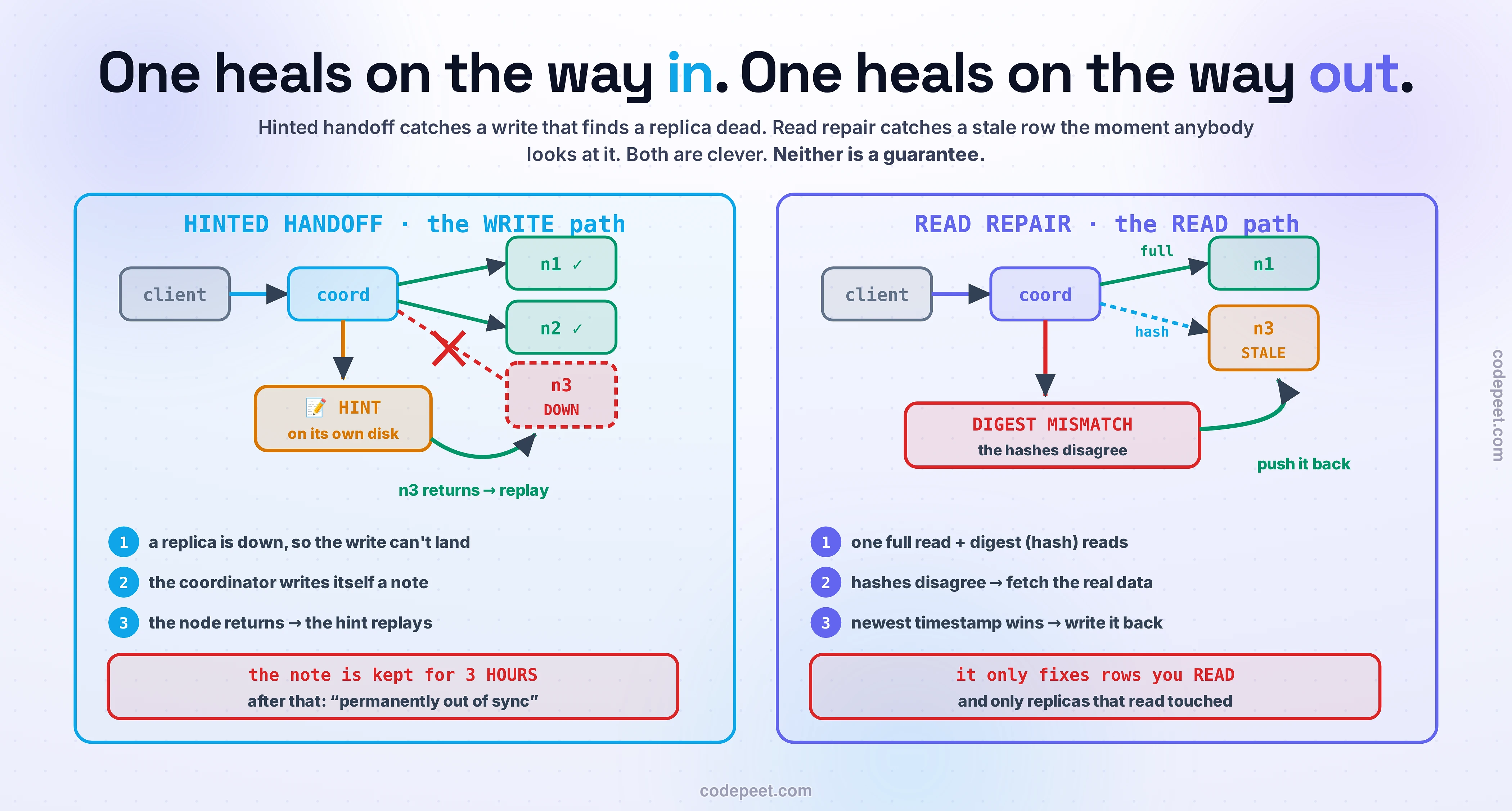 Two repair flows drawn side by side. On the left, in blue, HINTED HANDOFF on the WRITE path: a client sends a write to a coordinator, which forwards it to three replicas. Two of them, n1 and n2, take the write and are ticked green. The third, n3, is drawn with a dashed red border and marked DOWN, and the arrow to it is crossed out with a red X. So the coordinator writes itself a note — an amber box labelled HINT, stored on its own disk. When n3 returns, a green arrow curves back to it and the hint replays. The numbered steps read: one, a replica is down so the write cannot land; two, the coordinator writes itself a note; three, the node returns and the hint replays. A red banner beneath warns that the note is kept for only three hours, after which the replica is, in the docs' words, "permanently out of sync". On the right, in violet, READ REPAIR on the READ path: the coordinator sends one FULL data read to n1 and a DIGEST read — just a hash — to n3, which is amber and marked STALE. The hashes disagree, producing a red box labelled DIGEST MISMATCH. The coordinator then fetches the real data, picks the newest timestamp, and a green arrow pushes that value back into the stale replica. The numbered steps read: one, one full read plus digest hash reads; two, hashes disagree so fetch the real data; three, the newest timestamp wins and gets written back. A red banner beneath warns that read repair only fixes rows you actually read, and only the replicas that read happened to touch.