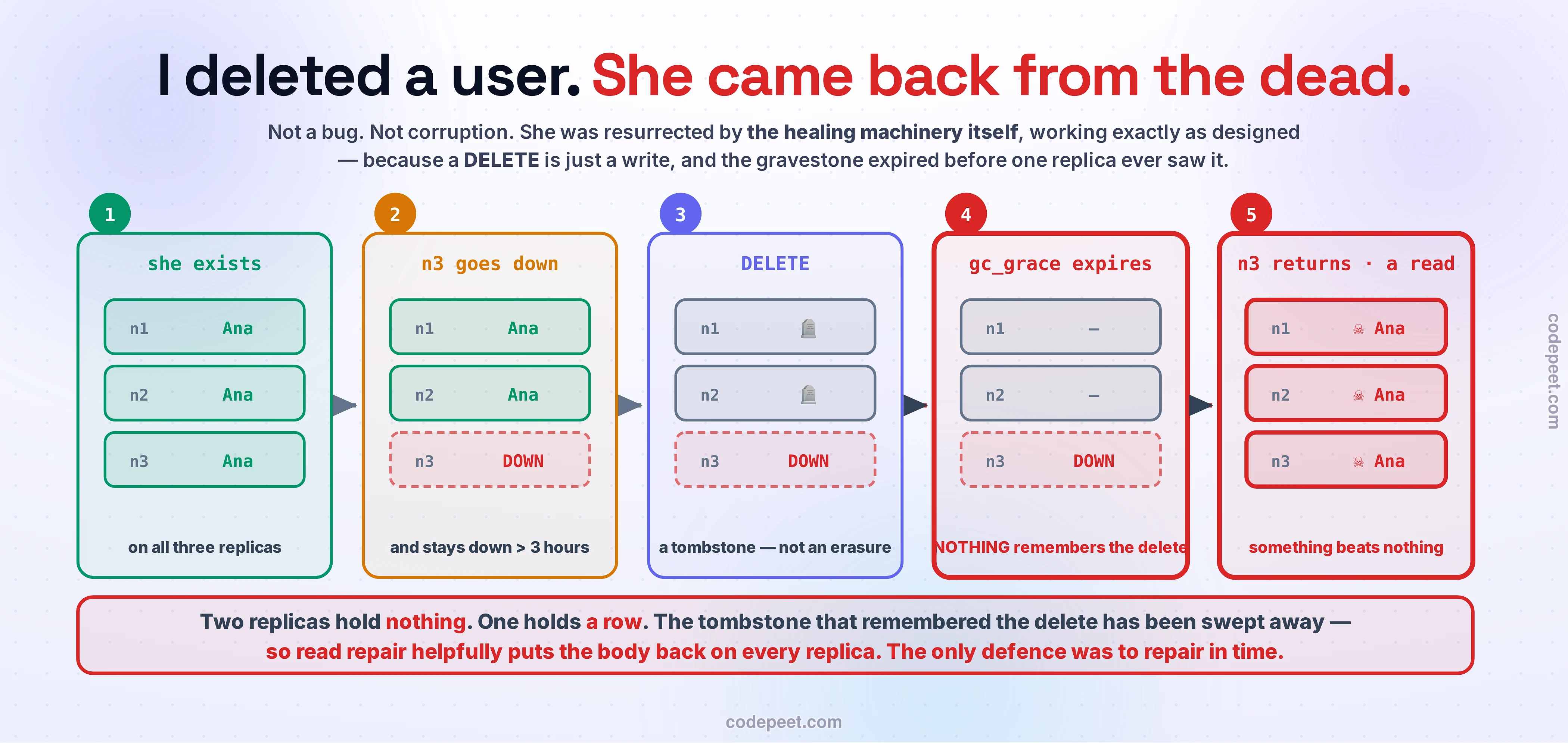 A five-stage timeline showing how a deleted user comes back from the dead on a real Cassandra cluster. Each stage draws all three replicas and what they are holding. Stage one, in green: Ana exists on all three replicas. Stage two, in amber: replica n3 goes down, and stays down for longer than the three-hour hint window, so hinted handoff will not save us. Stage three, in violet: the DELETE runs, and a tombstone — a gravestone, not an erasure — is written to n1 and n2. n3 is still down, never hears about it, and still holds the live row. Stage four, drawn in red with a heavy border: gc_grace_seconds expires and compaction sweeps the tombstones away, so n1 and n2 now hold nothing at all — and crucially, nothing in the cluster remembers the delete any more. Stage five, also in red: n3 returns still holding Ana, somebody reads the row, and because something beats nothing, all three replicas end up holding her again, marked with a skull. A red banner across the foot states the hinge of the whole thing: two replicas hold nothing, one holds a row, and the tombstone that remembered the delete has been swept away — so read repair helpfully puts the body back on every replica. The only defence was to run repair in time.