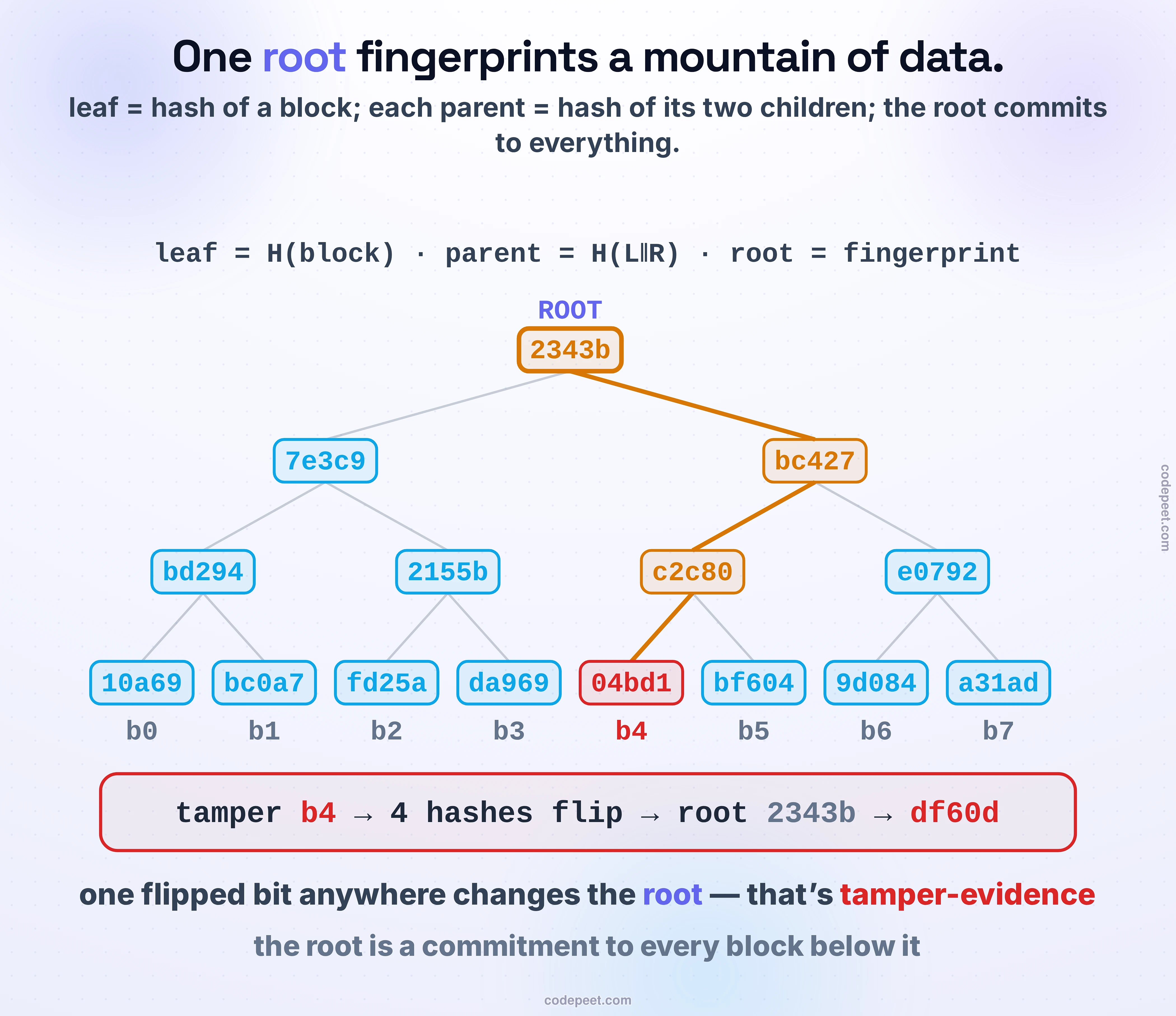 A live Merkle tree over eight blocks. In tamper mode, edit any block and watch its leaf hash change and the change cascade up the path to the root, which flips — and a compare-and-descend readout names the single differing block and how few hash comparisons it took to find it. Switch to prove mode and pick a block: its log-base-2-of-n sibling hashes light up, recompute the root, and verify that the block is genuinely included — the exact proof a Bitcoin light client checks. One flipped character anywhere changes the root; that is the whole idea.