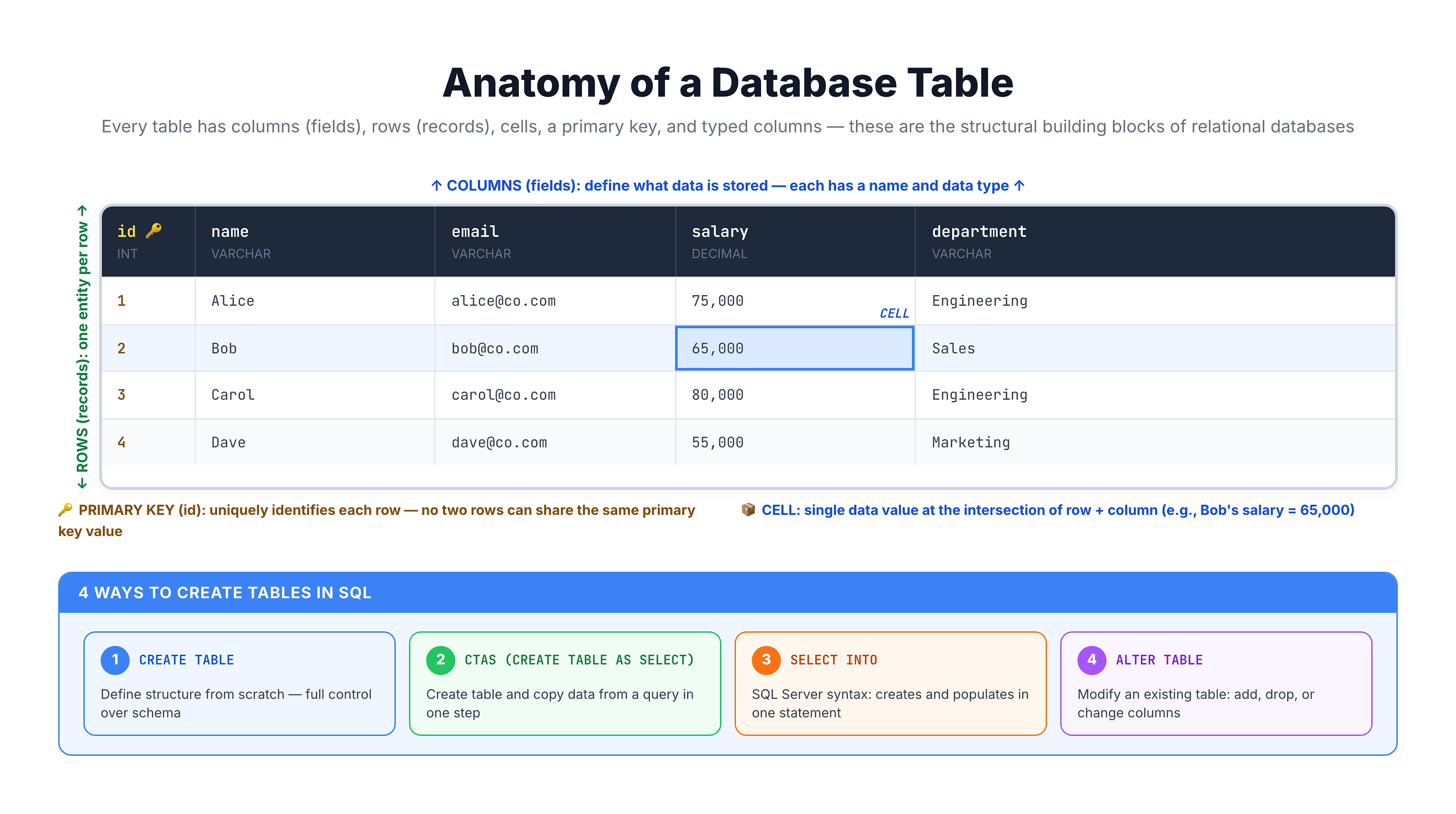 Anatomy of a database table showing rows, columns, cells, primary key, and data types
